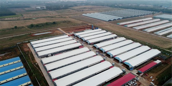 1658729101184126.jpg 2-2106101Q413596.jpg